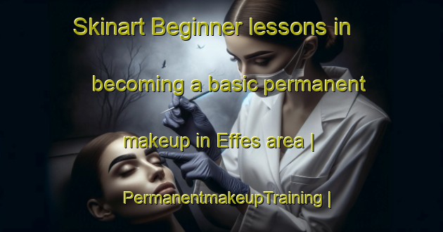 Skinart Beginner lessons in becoming a basic permanent makeup in Effes area | PermanentmakeupTraining | PermanentmakeupClasses | SkinartTraining-France